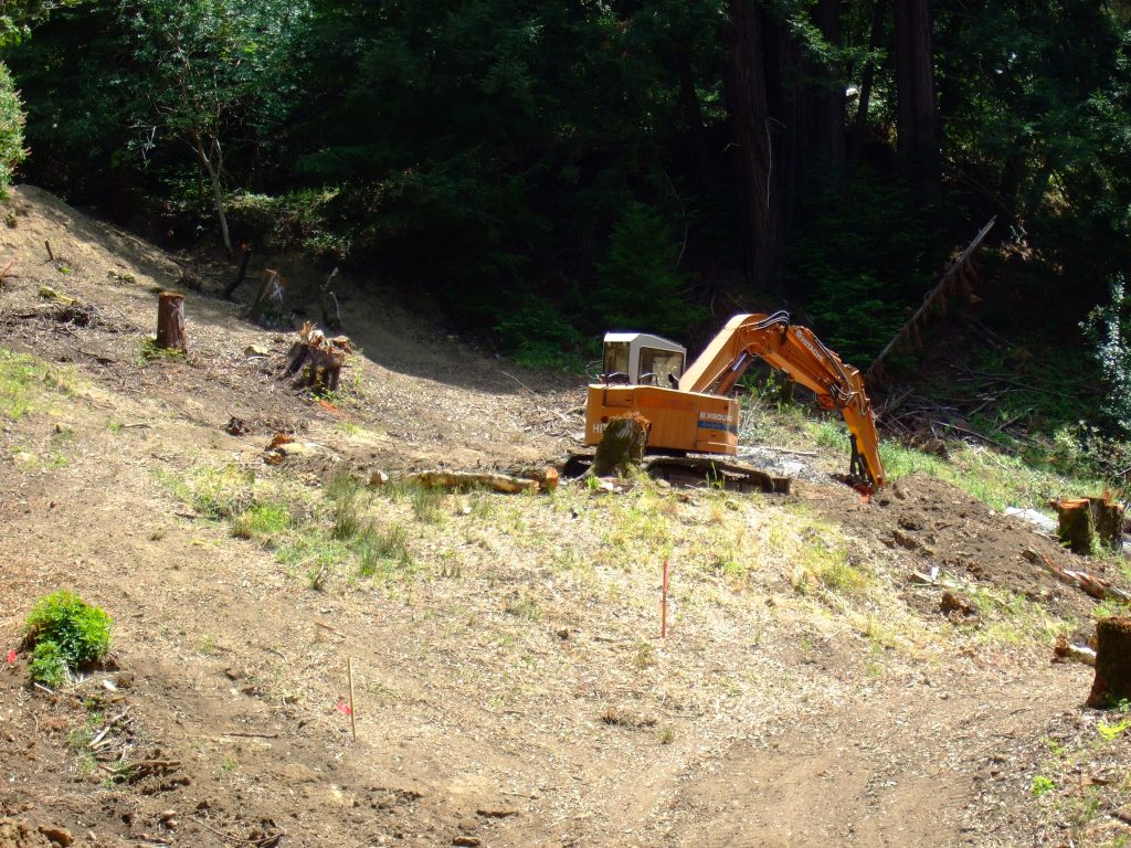 Excavation Gallery